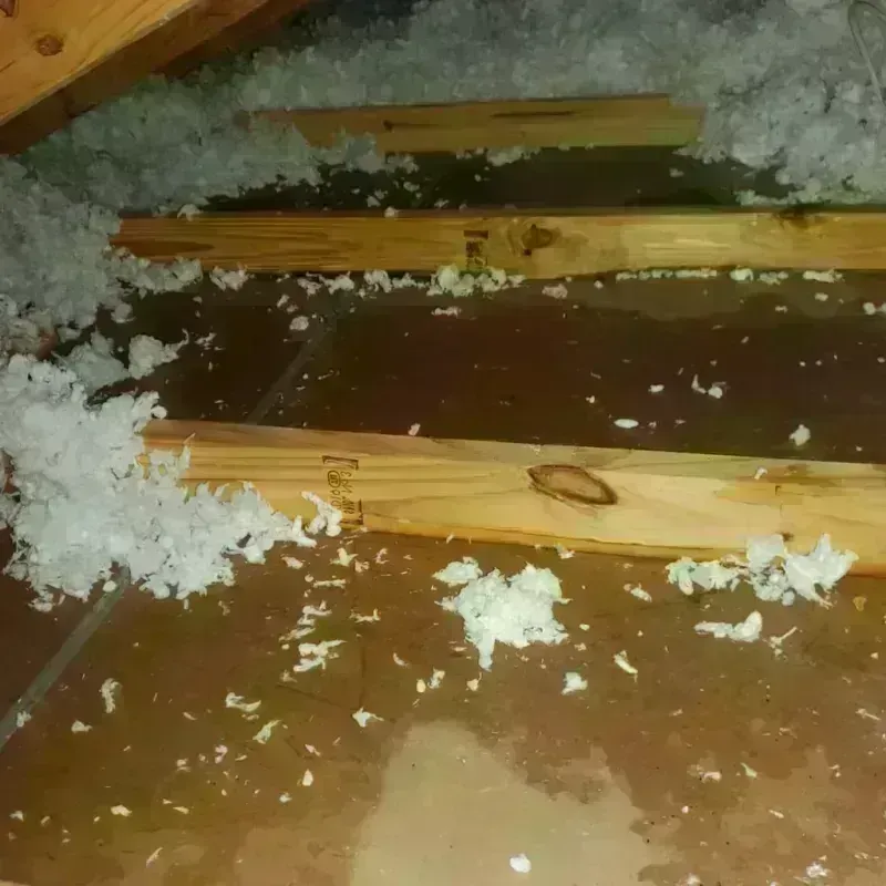 Attic Water Damage in Pine Hills, CA