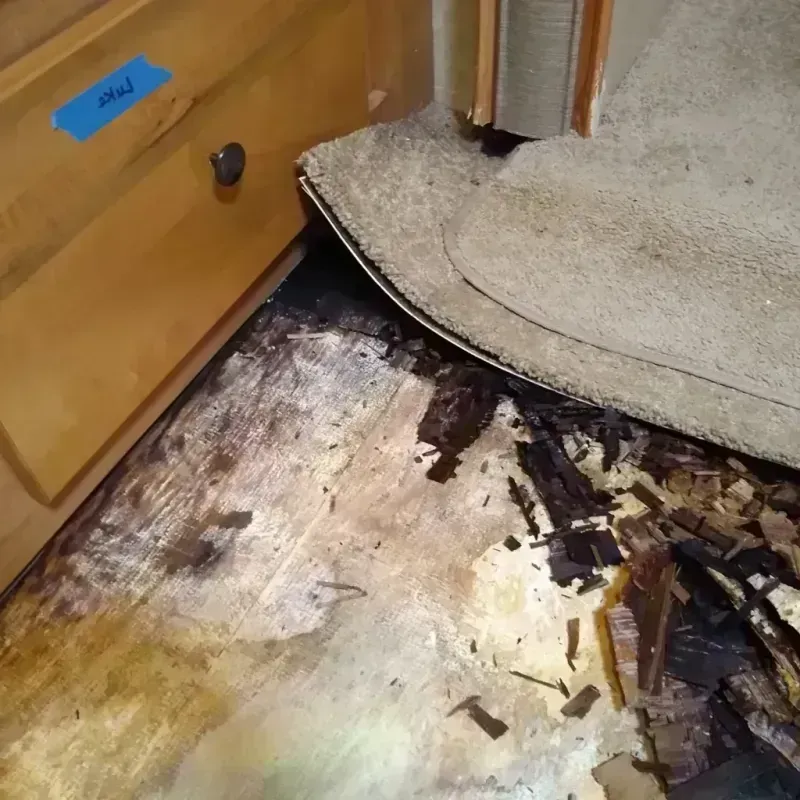 Best Wood Floor Water Damage Service in Pine Hills, CA